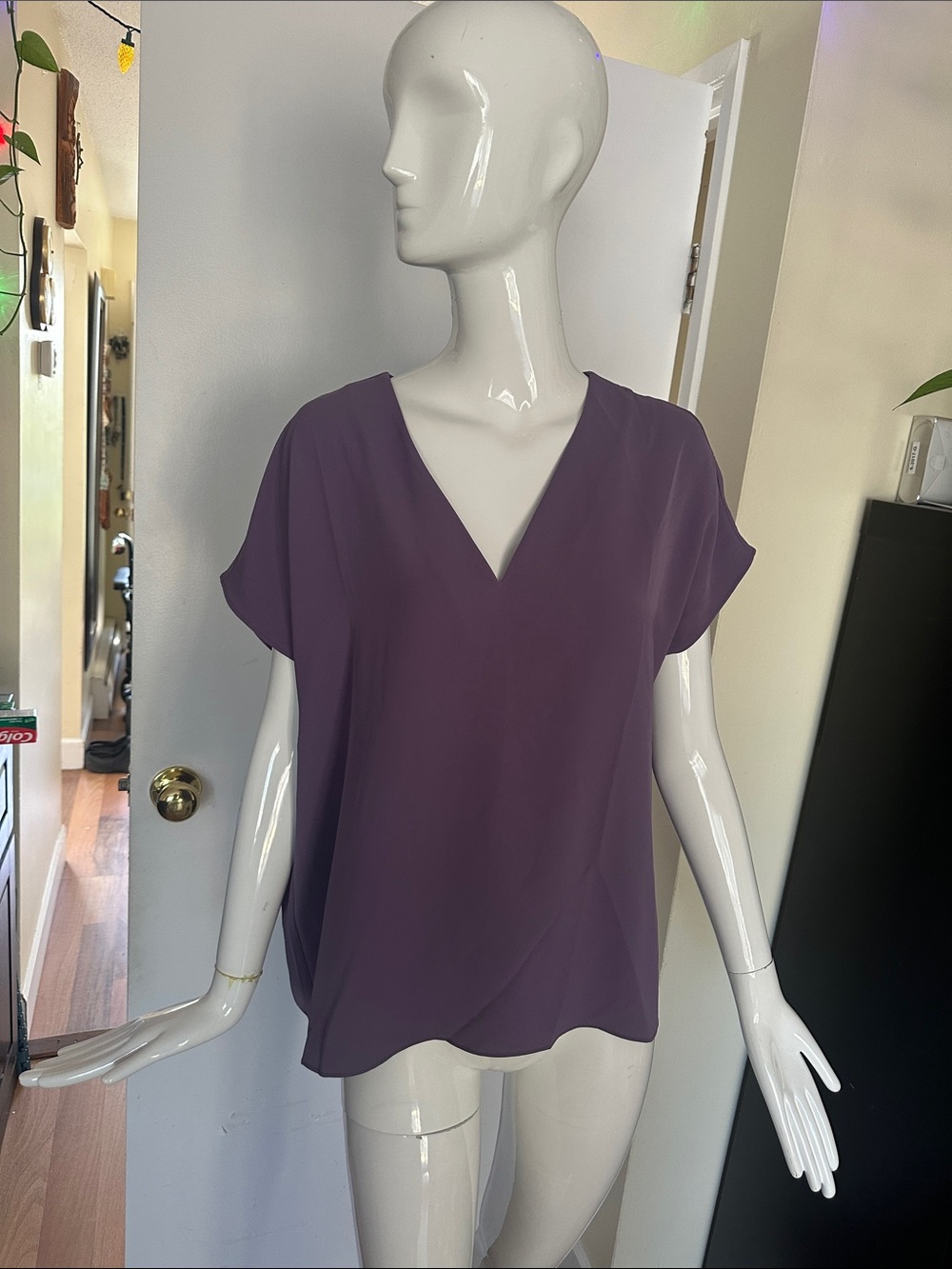 Simons Plum V-Neck Short Sleeve Blouse
